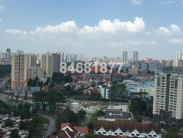 Flame Tree Park (D20), Condominium #113173022